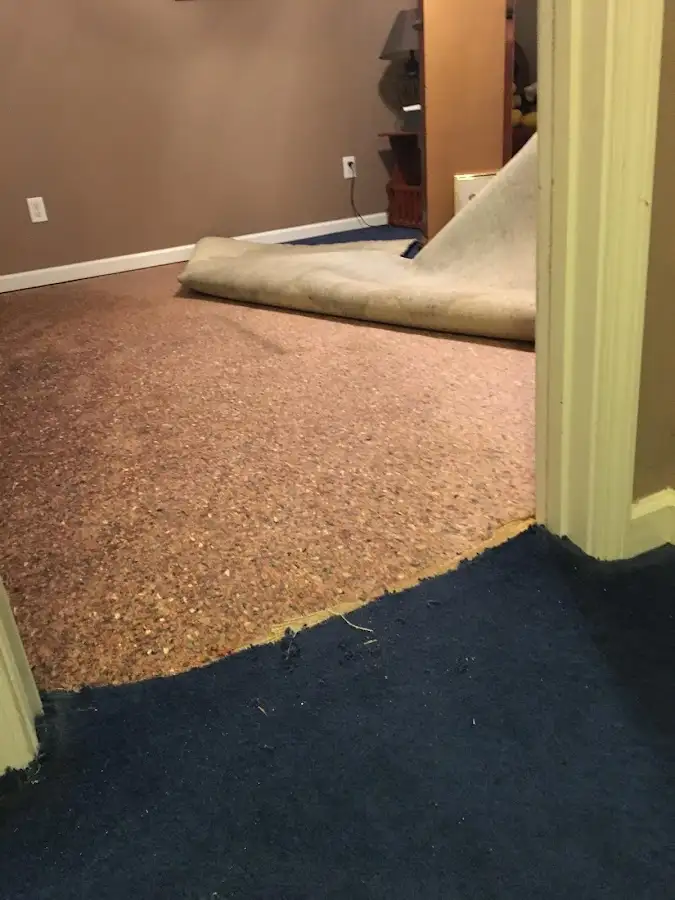 Carpet pad removal revealing water damage during Drying & Dehumidification in Rendon