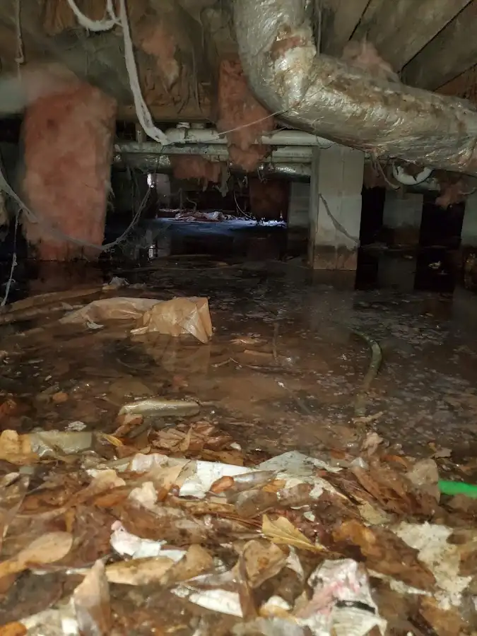 Crawl space flood assessment for Leak Detection & Repair in Rendon