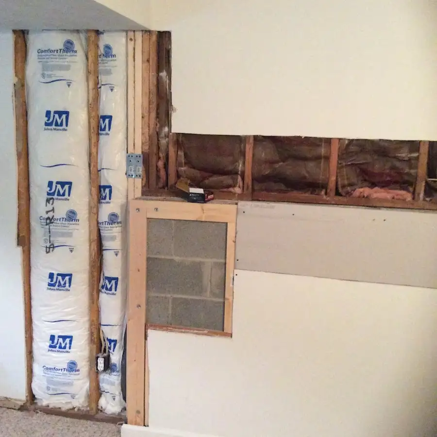 Wall insulation replacement during Odor Removal & Deodorization in Rendon